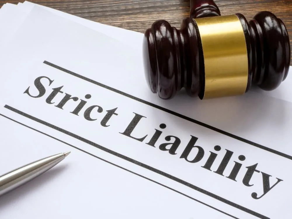 Strict liability legal document with judge’s gavel symbolizing Illinois dog bite law responsibility.