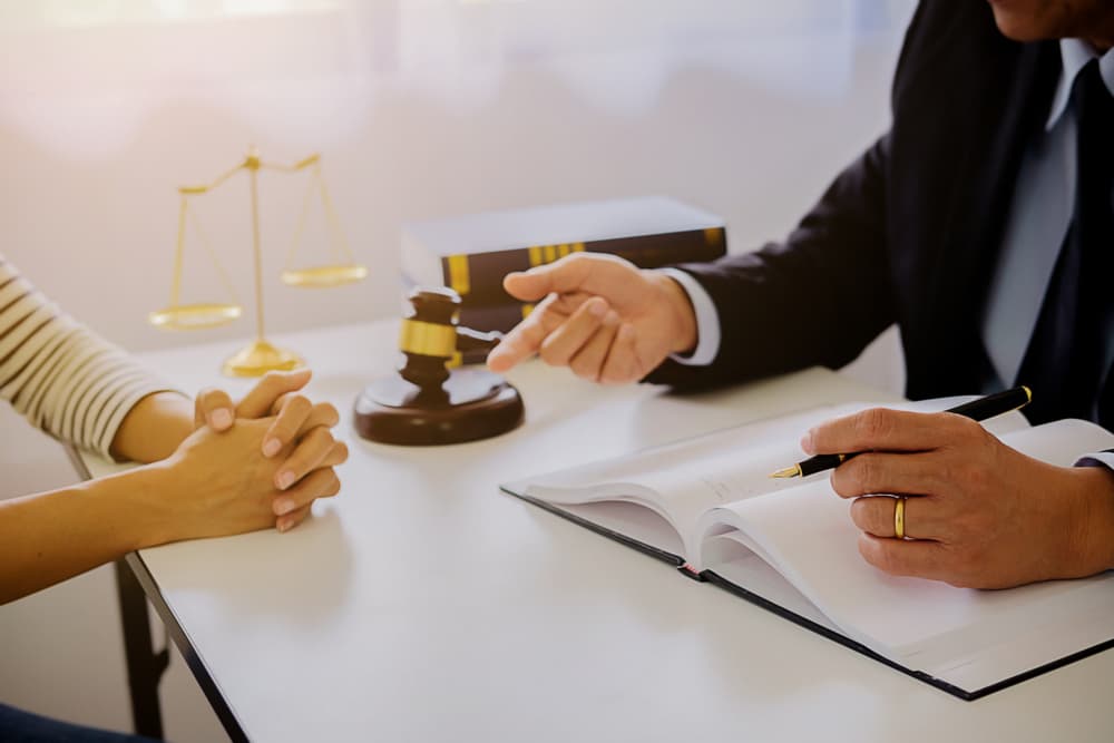 Client consulting with an attorney about Illinois dog bite laws and legal options in a law office.