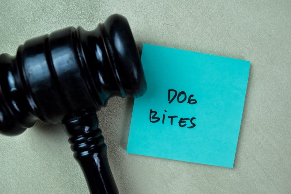 Gavel beside a note labeled “Dog Bites,” symbolizing Illinois dangerous dog laws and legal rights after a bite incident.